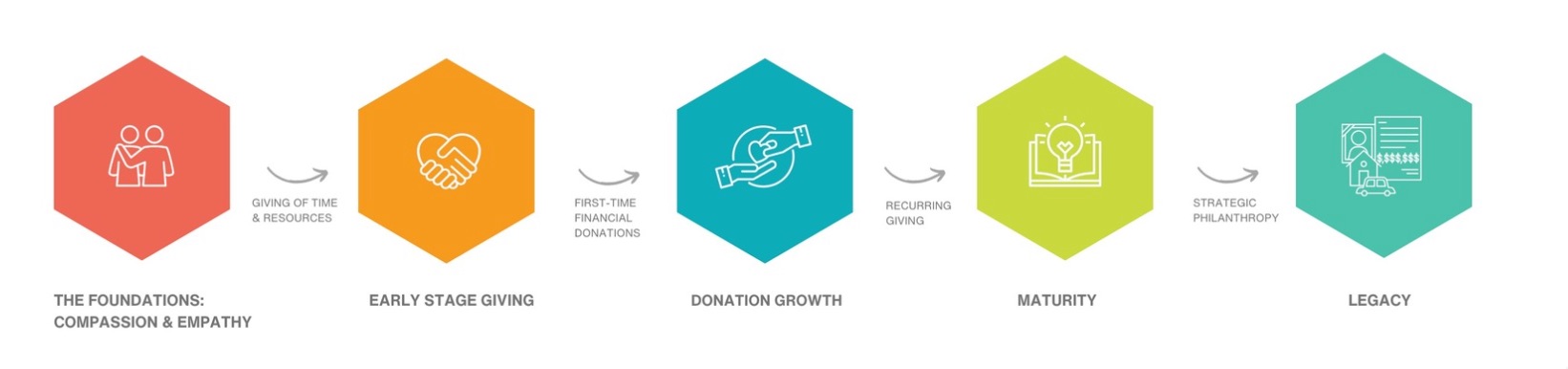 The Donor Lifecycle
